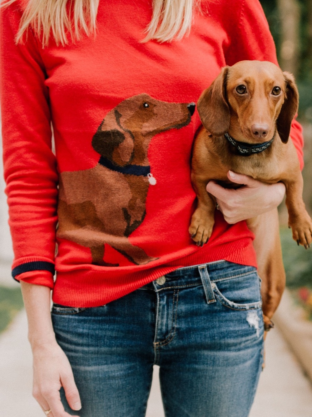 Joules Knitwear Dachshund Long Sleeve Red Intarsia Dog Jumper Sweater
